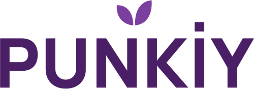 Punkiy